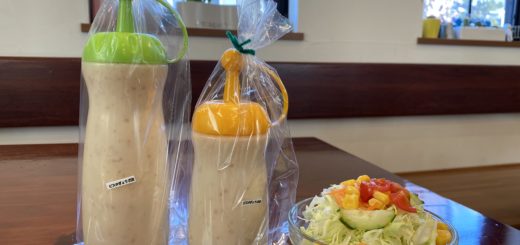 藤枝 蓮華寺池公園で遊んだら 子連れで行きたいランチのお店 ピスタぎょうざ店